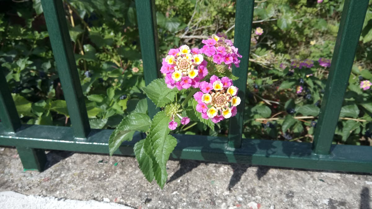 Abstract AI neural network with multiple colored nodes representing diverse AI ecosystems